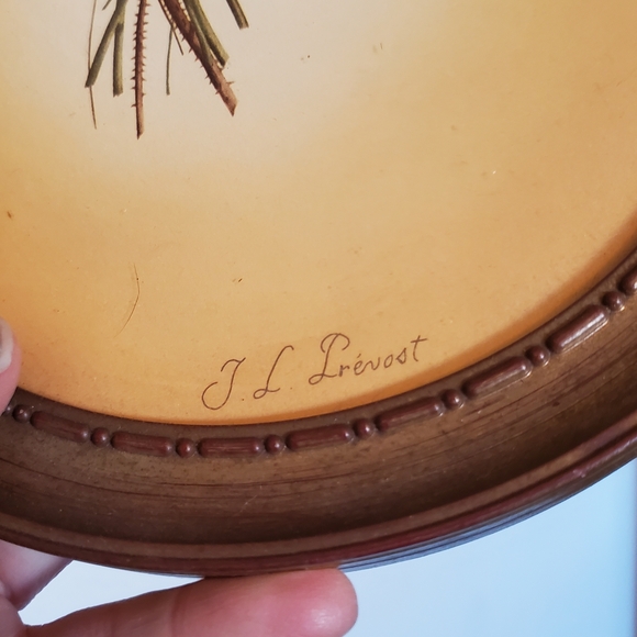 Oval Wall Decor with Gold Edge - Picture 4 of 6